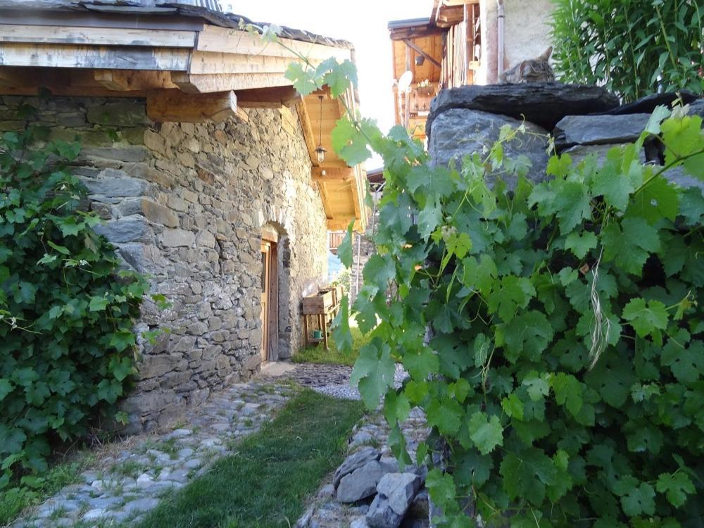 Bourg Saint Maurice Les Arcs - Maisonnette Grand Confort Dans Charmant Village De Montagne ! Dış mekan fotoğraf